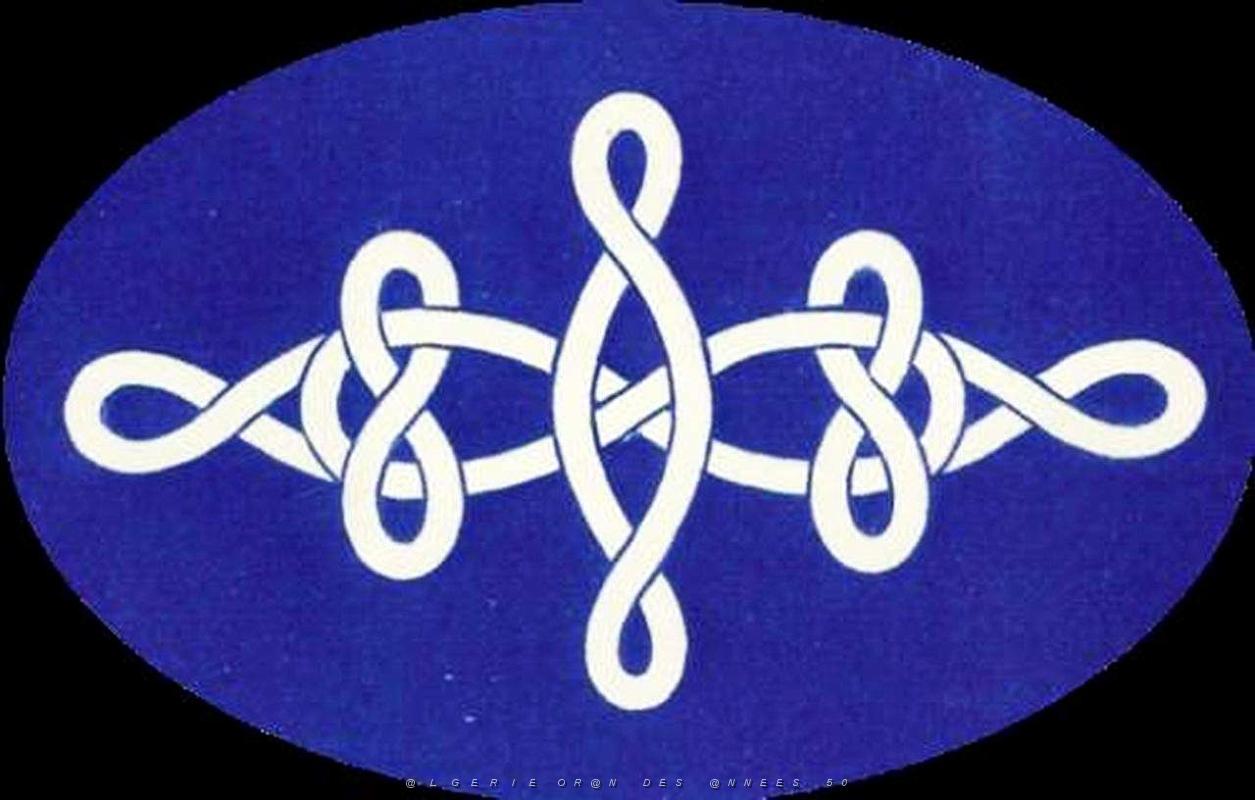Insigne 30.JPG